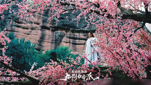 九阴白骨爪 降龙十八掌 相继定档,射雕ip开发解锁新模式