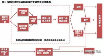 大消费研究之 2018年生鲜供应链行业研究报告