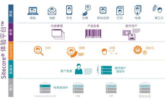 sitecore客户体验管理平台定制开发
