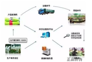 物流渠道防伪系统 量身定制方案
