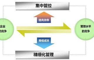 企业erp应用经验及对医院hrp的借鉴
