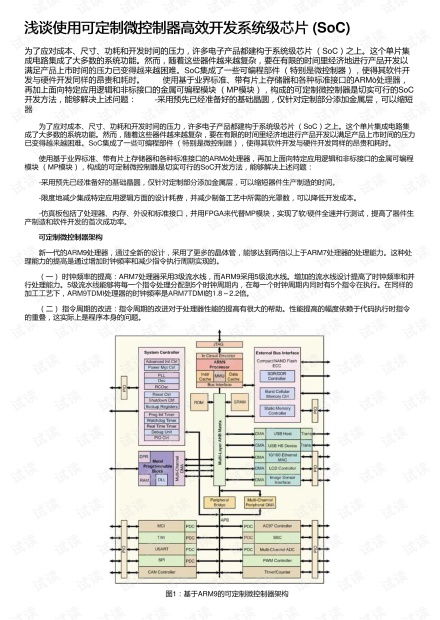 浅谈使用可定制微控制器高效开发系统级芯片SoC商城系统